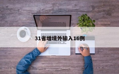 31省增境外输入16例