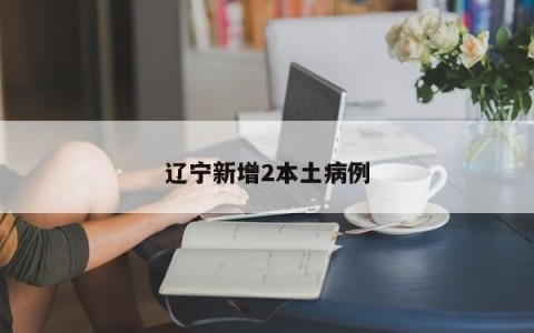 辽宁新增2本土病例