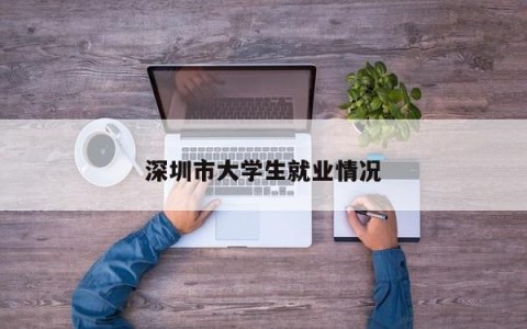 深圳市大学生就业情况