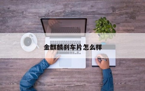 金麒麟刹车片怎么样