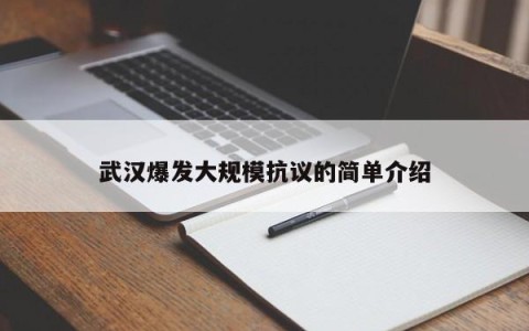 武汉爆发大规模抗议的简单介绍