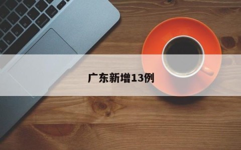 广东新增13例