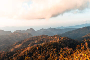 山东疫情最新情况(山东疫情最新情况播报)